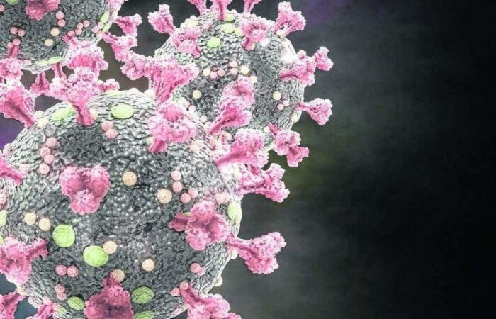 Os genes em questão estão relacionados aos interferons, os combatentes virais da linha de frente do corpo/Dotted Yeti/Divulgação