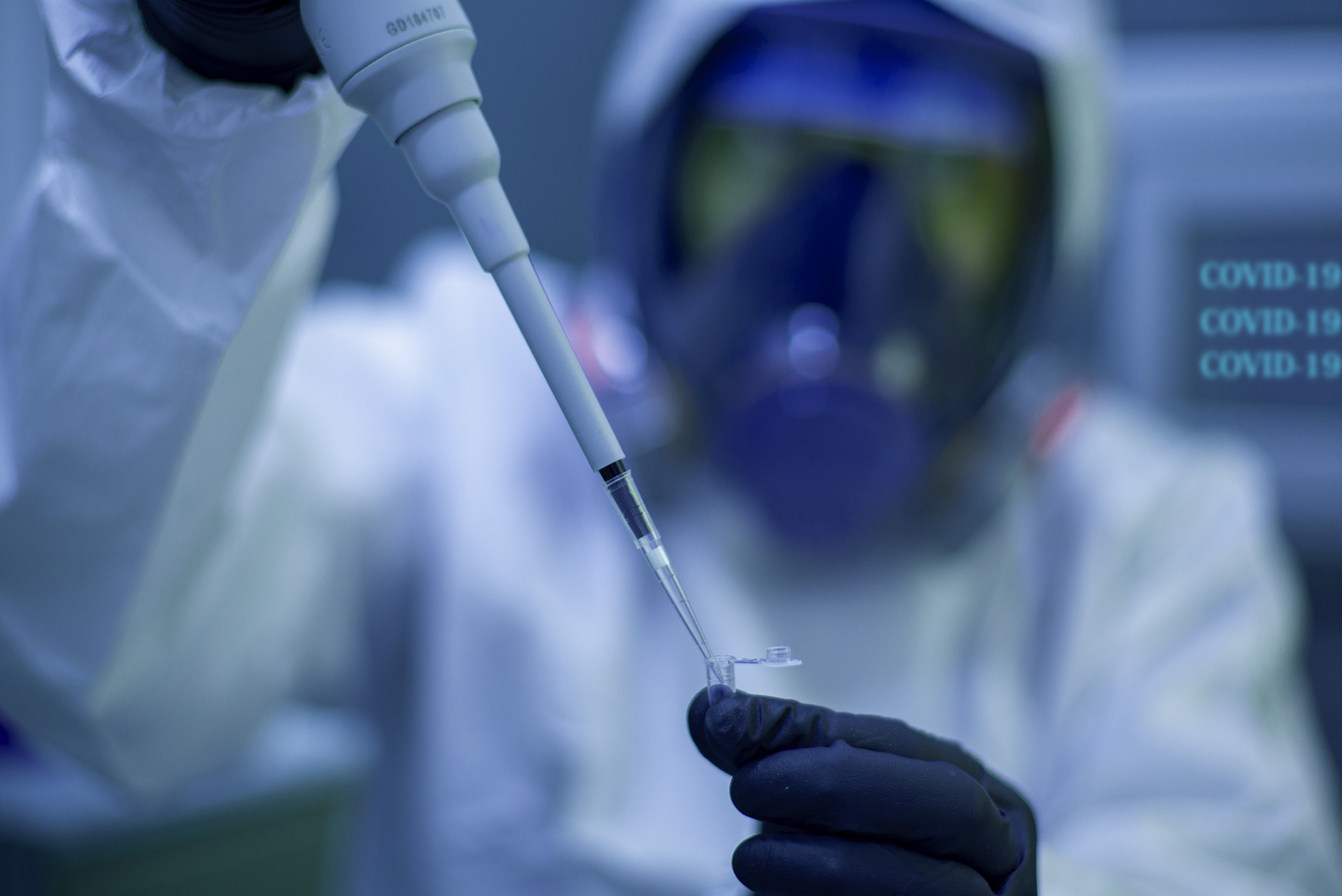 /Pesquisa visa compreender evolução e circulação do novo coronavírus. Foto: Reprodução/Pixabay