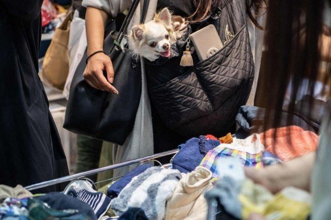 /O setor foi classificado como serviço essencial, o que permitiu manter as lojas e clínicas veterinárias abertas em meio às restrições impostas no país desde março de 2020. Foto: PHILIP FONG/AFP /O setor foi classificado como serviço essencial, o que permitiu manter as lojas e clínicas veterinárias abertas em meio às restrições impostas no país desde março de 2020. Foto: PHILIP FONG/AFP