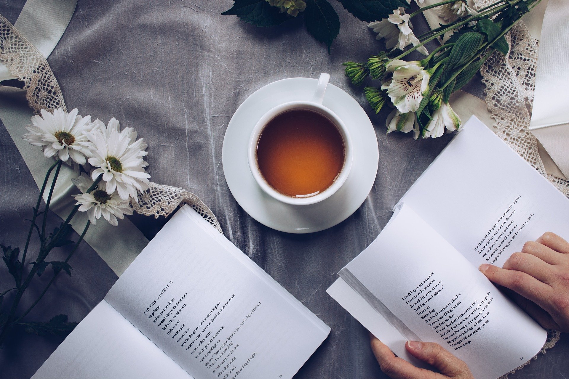 /Hoje se comemora o Dia Mundial do Livro. Foto: Reprodução/Pixabay