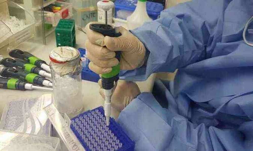 /Imunizante que está sendo desenvolvido pela UFMG deu grande passo em seu processo ao receber apoio financeiro da PBH para segunda fase dos testes. Foto: Sumaria Vilella/Agência Brasil /Imunizante que está sendo desenvolvido pela UFMG deu grande passo em seu processo ao receber apoio financeiro da PBH para segunda fase dos testes. Foto: Sumaria Vilella/Agência Brasil