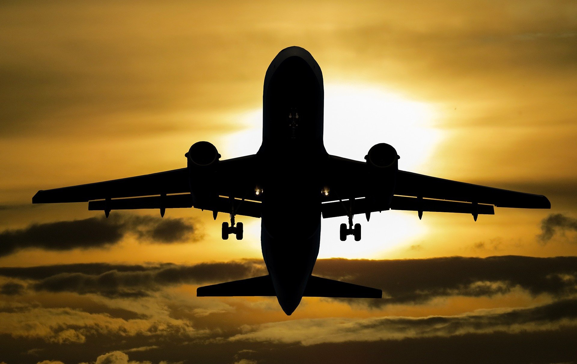 /Foto: Reprodução/Pixabay