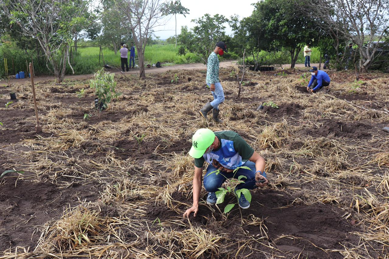 /CPRH/Divulga&ccedil;&atilde;o