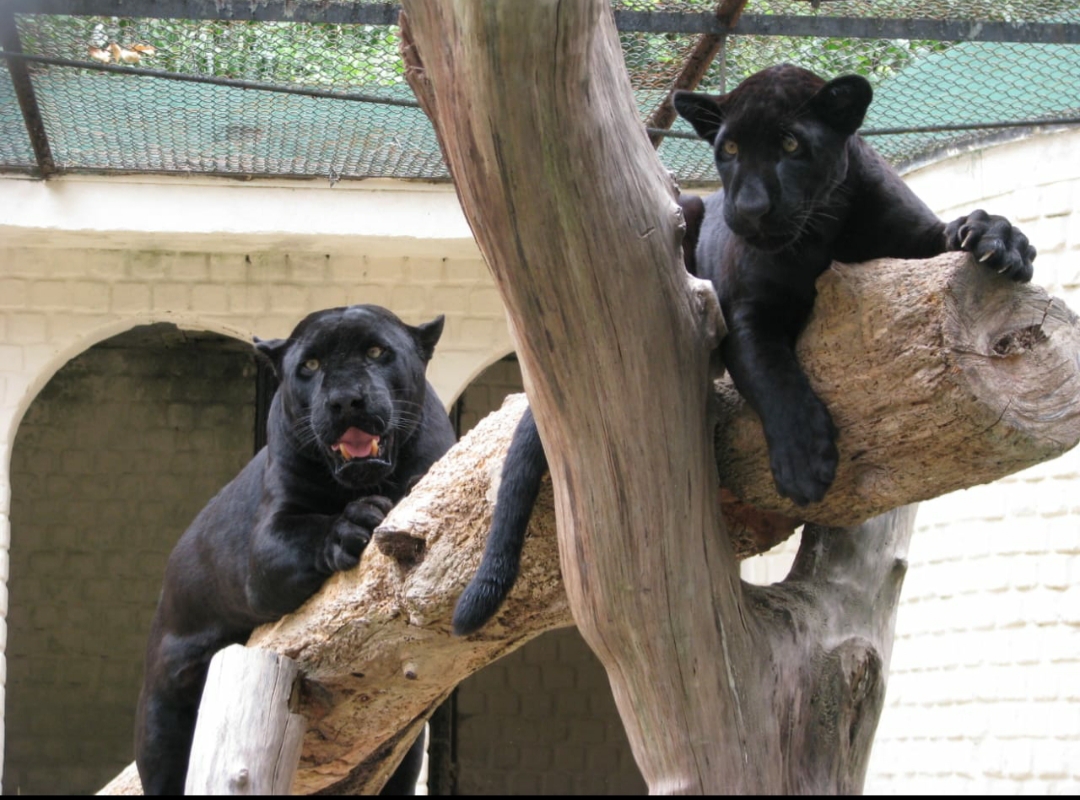 Pelé (direita) e sua mãe (esquerda)/Divulgação/Bárbara Lins Pelé (direita) e sua mãe (esquerda)/Divulgação/Bárbara Lins