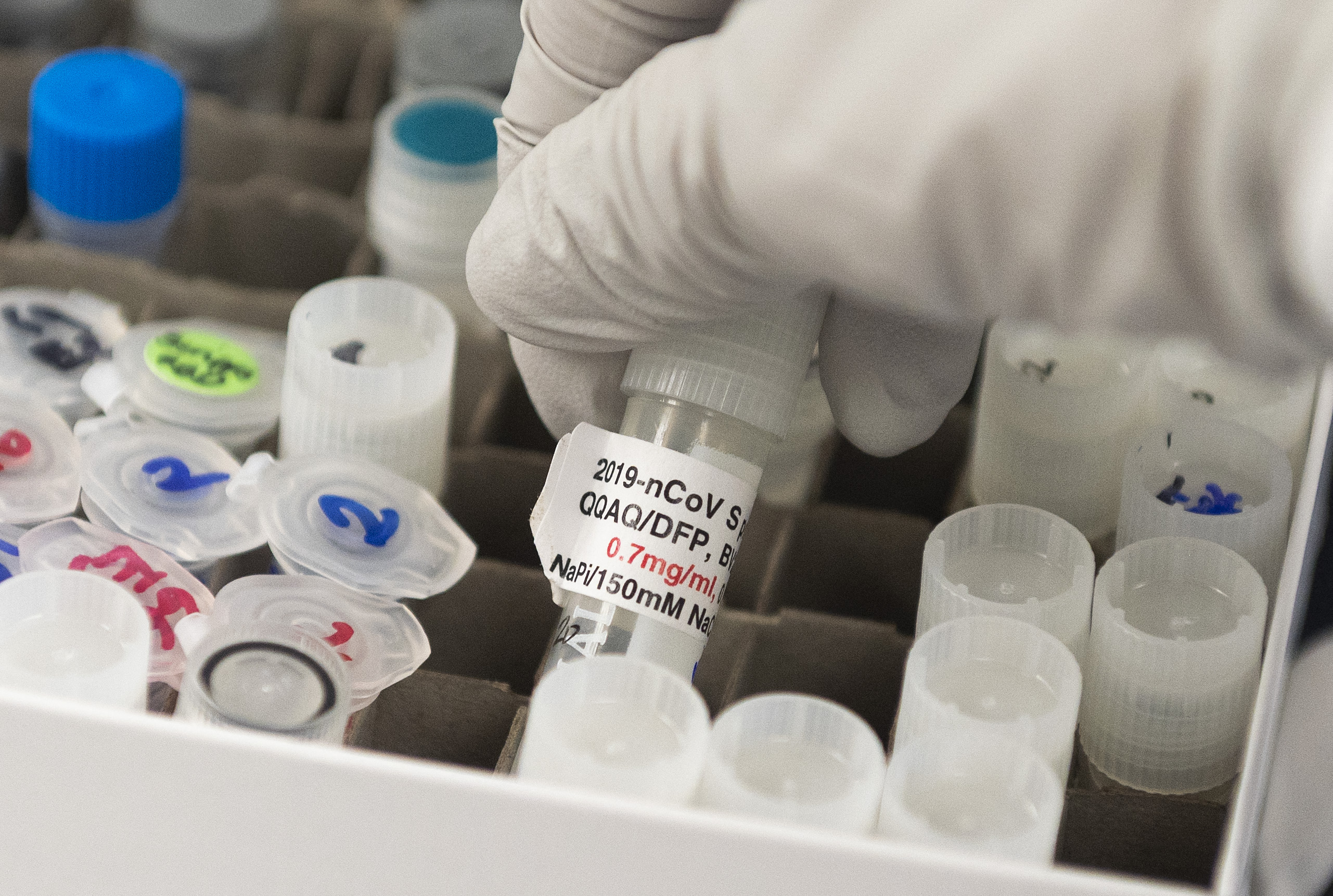 /Esta dose usa uma parte do vírus SARS-CoV-2 chamada proteína "spike", que a empresa produz em massa dentro das células de insetos. Foto: ANDREW CABALLERO-REYNOLDS / AFP /Esta dose usa uma parte do vírus SARS-CoV-2 chamada proteína "spike", que a empresa produz em massa dentro das células de insetos. Foto: ANDREW CABALLERO-REYNOLDS / AFP