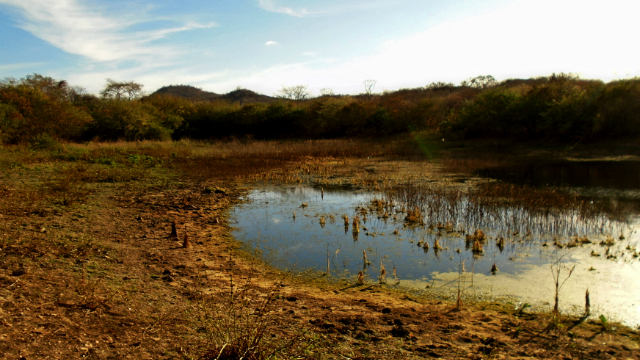 /Foto: Arquivo / DP /Foto: Arquivo / DP