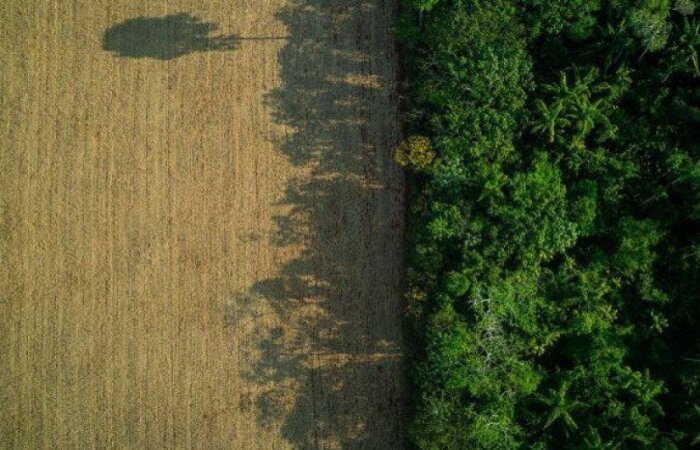 /Foto: F&aacute;bio Nascimento/Greenpeace