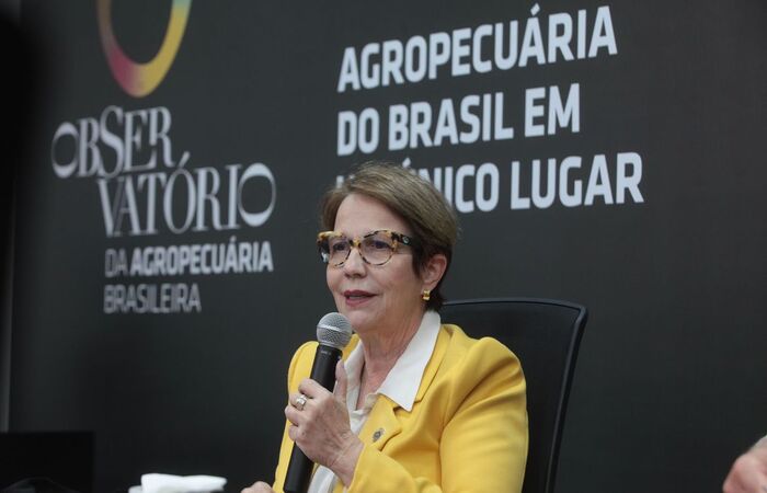 Segundo o Ministério da Agricultura, o portal deve receber cerca de 1 milhão de consultas por semana/Carlos Silva/Mapa