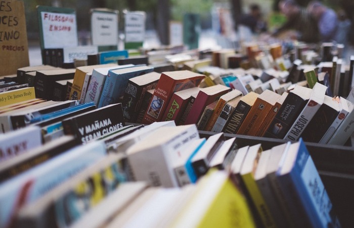 A plataforma virtual vai promover envio de livros para todo o Brasil/Foto: Pixabay/Reprodução A plataforma virtual vai promover envio de livros para todo o Brasil/Foto: Pixabay/Reprodução
