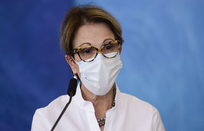 Tereza Cristina falou no Fórum Brasil de Investimentos 2021/Marcelo Camargo/Agência Brasil Tereza Cristina falou no Fórum Brasil de Investimentos 2021/Marcelo Camargo/Agência Brasil