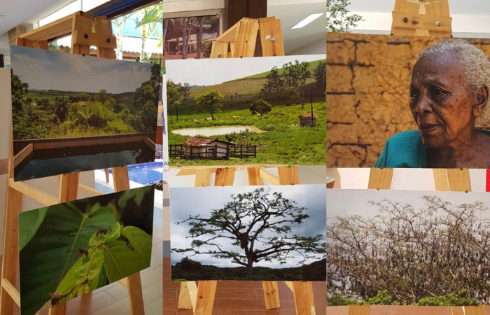 As fotos foram feitas em uma das nove unidades de conservação do município/Foto: Divulgação