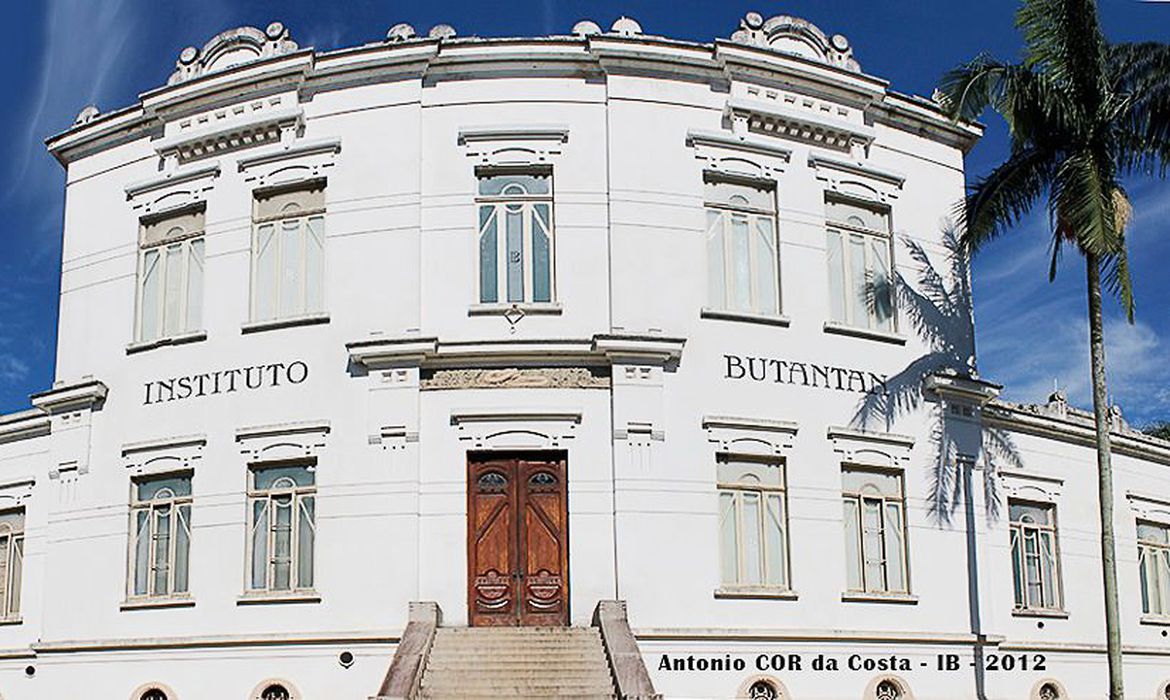 /No fim de tarde de ontem, quarta-feira (9), a Agência Nacional de Vigilância Sanitária (Anvisa) liberou a autorização para a pesquisa clínica da vacina Butanvac, do Instituto Butantan. Foto: Antônio COR da Costa/Instituto Butantan /No fim de tarde de ontem, quarta-feira (9), a Agência Nacional de Vigilância Sanitária (Anvisa) liberou a autorização para a pesquisa clínica da vacina Butanvac, do Instituto Butantan. Foto: Antônio COR da Costa/Instituto Butantan