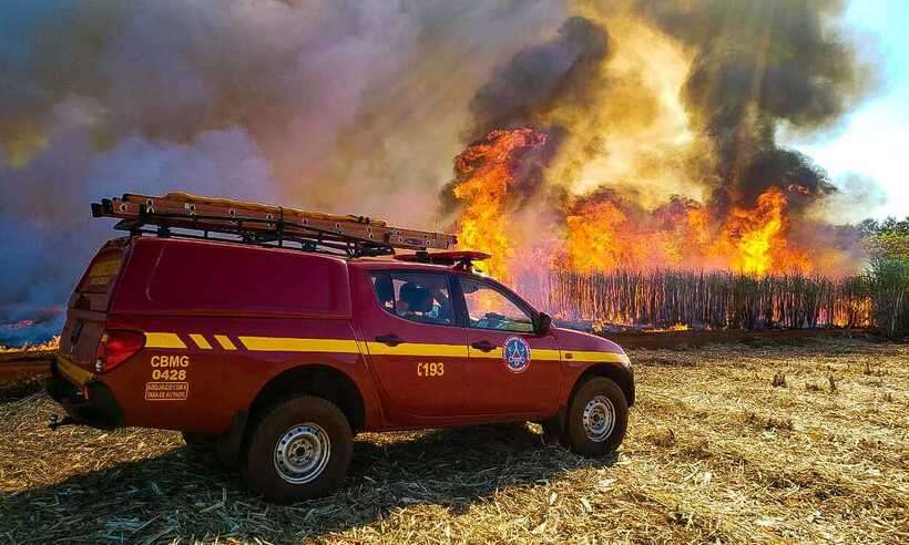 /Número de incêndios em matas são os que mais preocupam os bombeiros. Foto: CBMMG/Divulgação