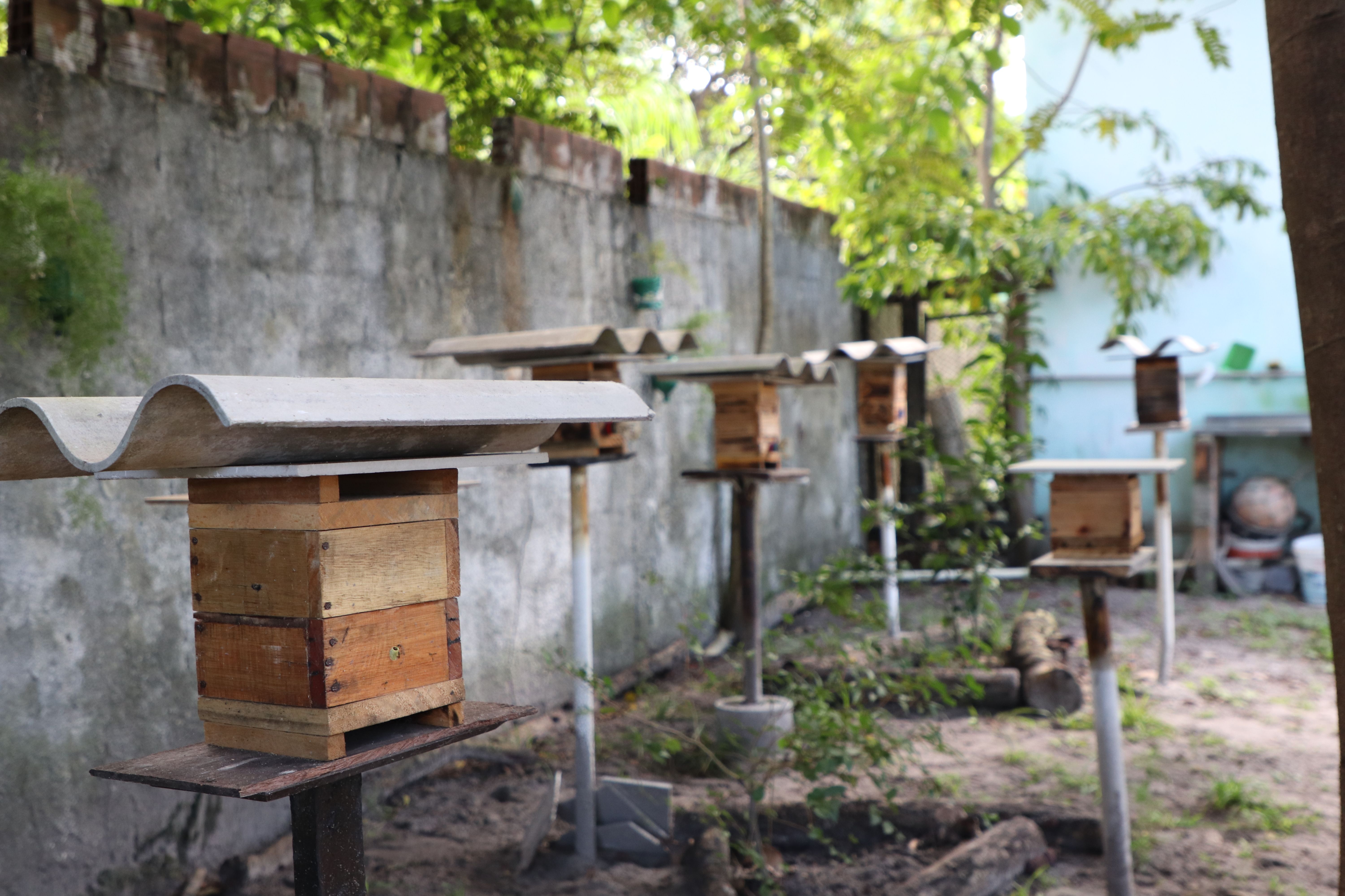 /Helo&iacute;se Oliveira/Suape