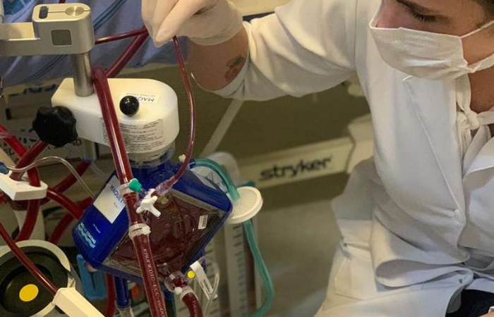 /O procedimento é feito por uma cânula que é introduzida na veia do paciente, fazendo com que o sangue seja drenado e impulsionado por uma bomba até a membrana que exerce a função de pulmão artificial. Nessa membrana. Assim, o sangue é oxigenado, retira-se gás carbônico e esse sangue é devolvido em excelentes condições ao paciente. Foto: ECMO Minas/Divulgação /O procedimento é feito por uma cânula que é introduzida na veia do paciente, fazendo com que o sangue seja drenado e impulsionado por uma bomba até a membrana que exerce a função de pulmão artificial. Nessa membrana. Assim, o sangue é oxigenado, retira-se gás carbônico e esse sangue é devolvido em excelentes condições ao paciente. Foto: ECMO Minas/Divulgação