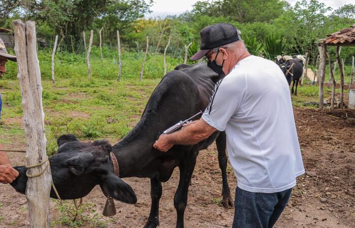 /Foto: Divulgação /Foto: Divulgação