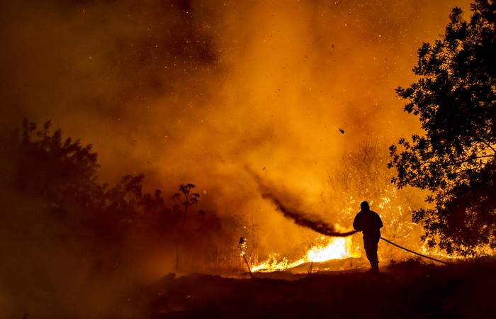 /AFP