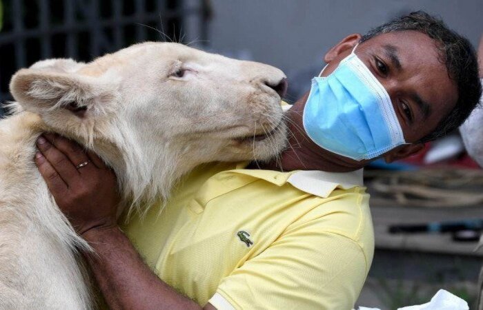 /crédito: TANG CHHIN Sothy / AFP /crédito: TANG CHHIN Sothy / AFP