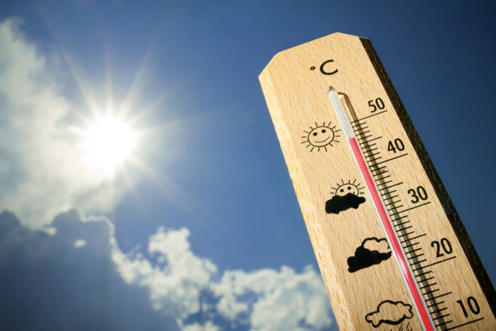 /Foto: Reprodução/Shutterstock /Foto: Reprodução/Shutterstock