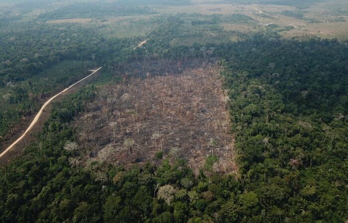 /Foto: Op VERDE BRASIL/17 /Foto: Op VERDE BRASIL/17