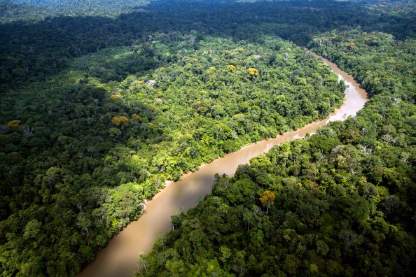 /Foto: Jody Amiet/AFP /Foto: Jody Amiet/AFP