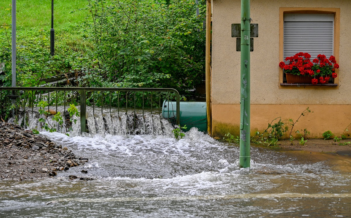 (Foto: SASCHA SCHUERMANN / AFP) /Foto: SASCHA SCHUERMANN / AFP