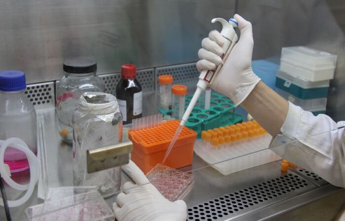 Segundo desenvolvedores, eficácia é de 100% se comparada ao teste PCR/Foto: Fiocruz/Arquivo Segundo desenvolvedores, eficácia é de 100% se comparada ao teste PCR/Foto: Fiocruz/Arquivo
