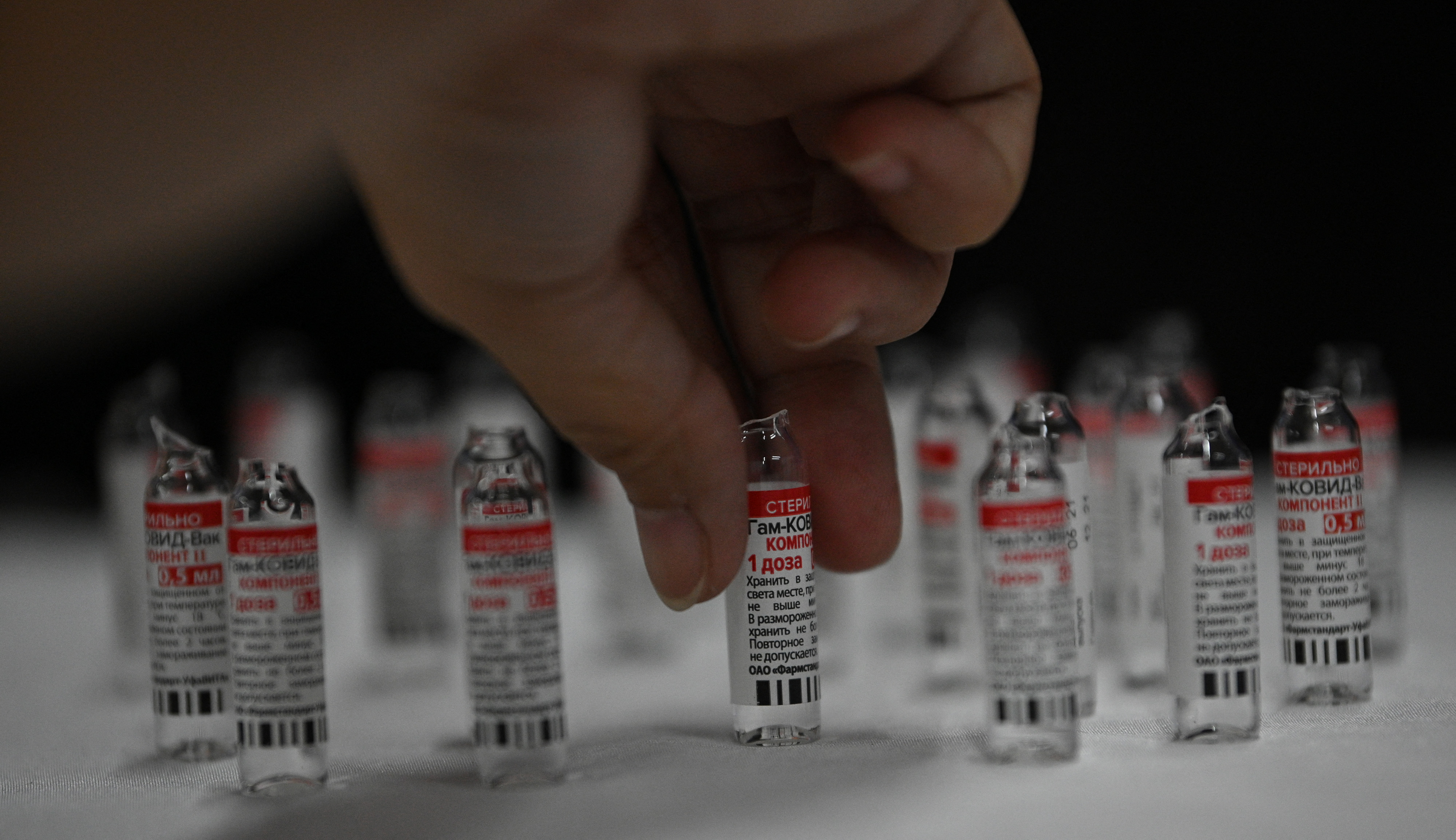 /Estabelecimentos que fabricam imunizantes animais estão autorizados a produzir os insumos, desde que cumpram normas sanitárias e exigências de biossegurança adotadas por instituições especializadas em vacinas para humanos. Foto: Ted ALJIBE / AFP /Estabelecimentos que fabricam imunizantes animais estão autorizados a produzir os insumos, desde que cumpram normas sanitárias e exigências de biossegurança adotadas por instituições especializadas em vacinas para humanos. Foto: Ted ALJIBE / AFP