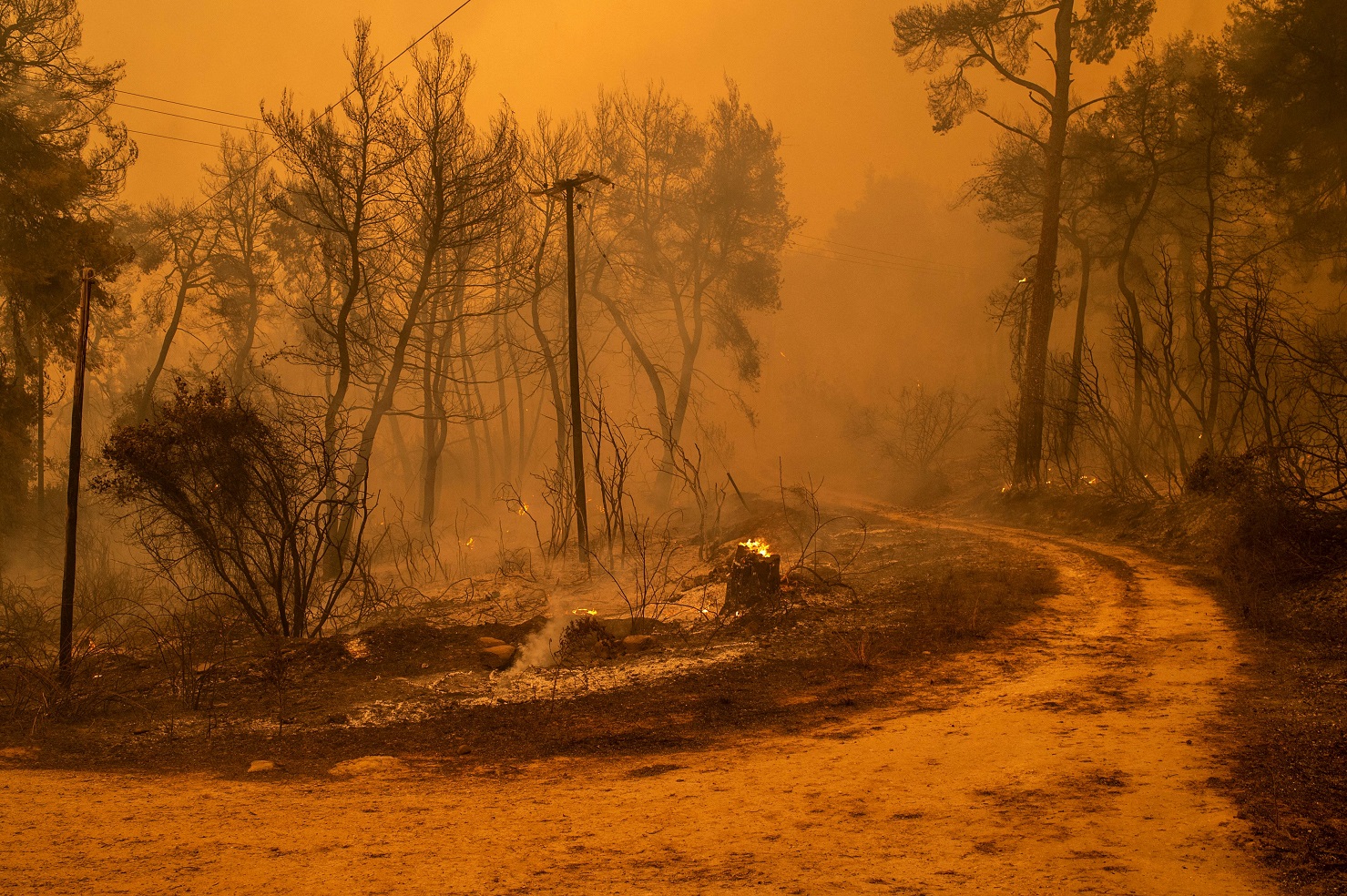 /Foto: ANGELOS TZORTZINIS / AFP