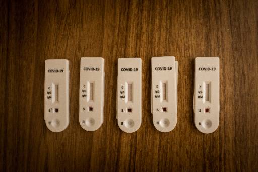 /Foto: FLORIAN PLAUCHEUR / AFP