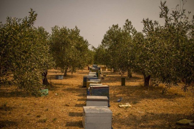 /Foto: ANGELOS TZORTZINIS / AFP