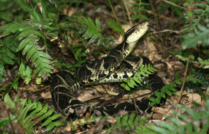 /Foto: S&aacute;vio Freire Bruno