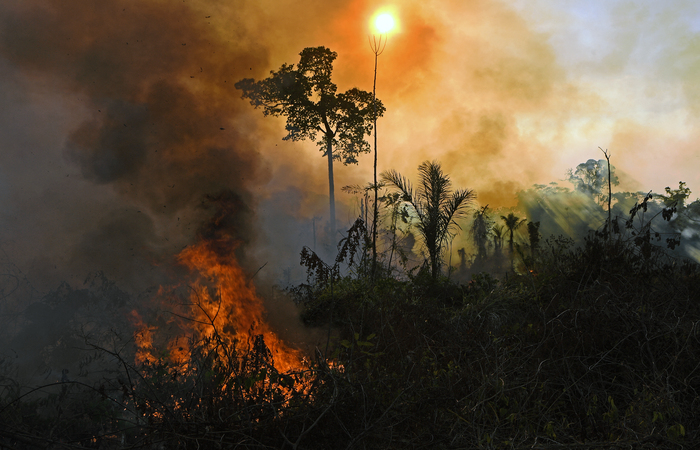 /Foto: CARL DE SOUZA / AFP /Foto: CARL DE SOUZA / AFP
