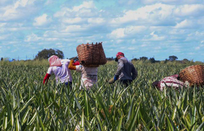 /Foto: Diego Inove/Fotos Públicas /Foto: Diego Inove/Fotos Públicas