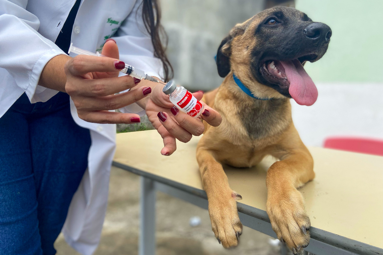 /Foto: Mari Frazão/PJG
