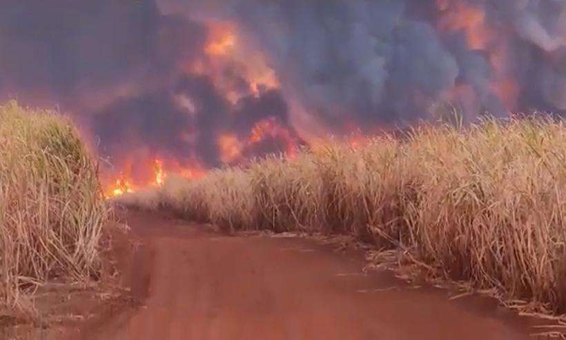 /O incêndio em Delta destruiu extensa área de plantação de cana-de-açúcar. Foto: Reprodução/WhatsApp /O incêndio em Delta destruiu extensa área de plantação de cana-de-açúcar. Foto: Reprodução/WhatsApp