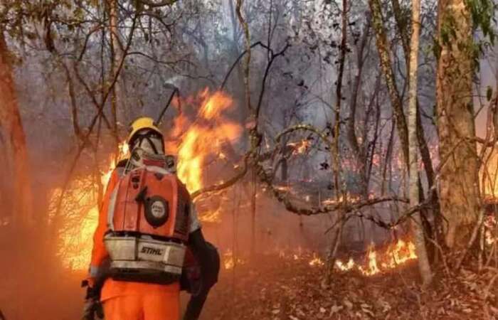 /Foto: Corpo de Bombeiros de MG/Divulgação