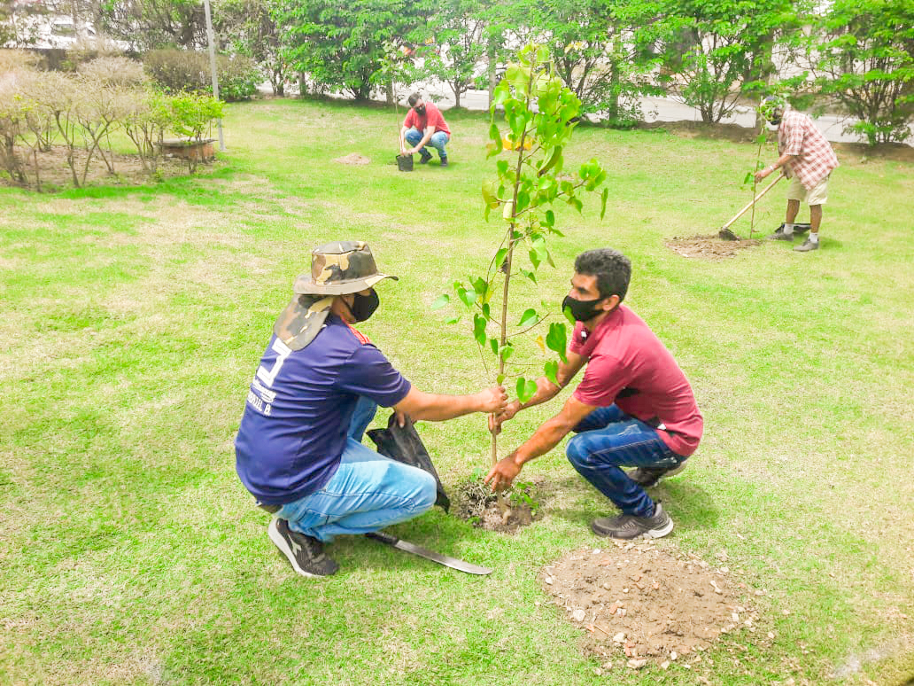 /Foto: Divulgação/SEIC /Foto: Divulgação/SEIC