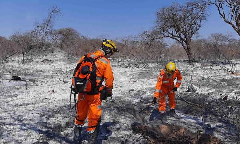 Bombeiros fazem rescaldo em área atingida pelo fogo no município de Gameleira