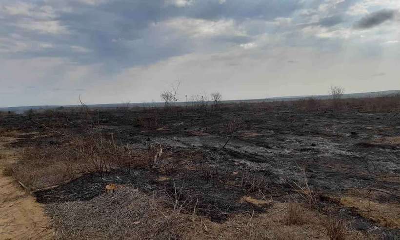 Área destruída por um incêndio em Ninheira