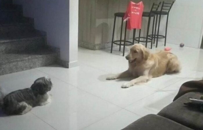 /Foto: Arquivo Pessoal