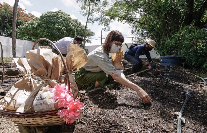 /Com o objetivo de garantir segurança alimentar para a população, documento vai nortear a política de fomento a estruturas de produção como hortas comunitárias. Foto: Prefeitura do Recife/Divulgação /Com o objetivo de garantir segurança alimentar para a população, documento vai nortear a política de fomento a estruturas de produção como hortas comunitárias. Foto: Prefeitura do Recife/Divulgação