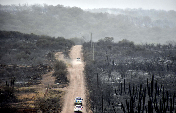 /Foto: Laura LESCANO / TELAM / AFP /Foto: Laura LESCANO / TELAM / AFP