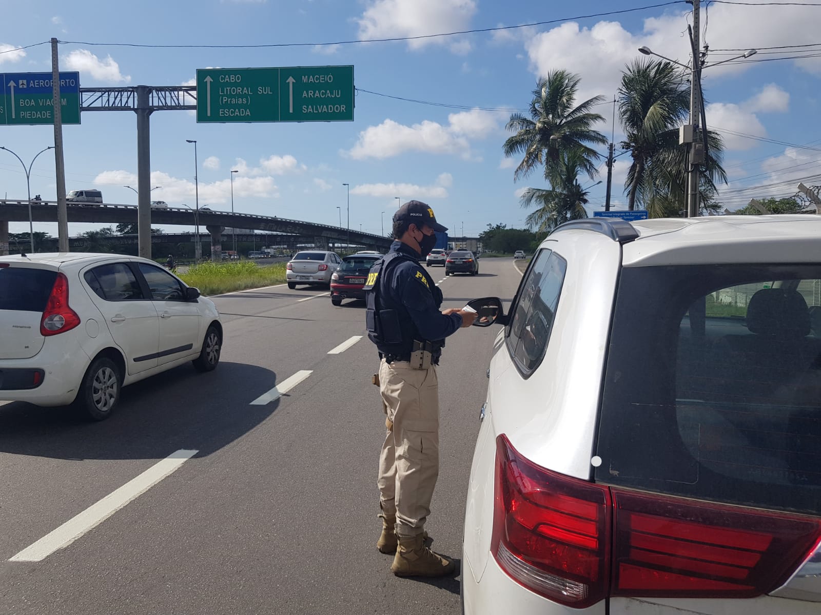 Média de acidentes por dia caiu em relação ao mesmo feriado do ano passado; 48 animais de grande porte foram recolhidos das rodovias./PRF/Divulgação