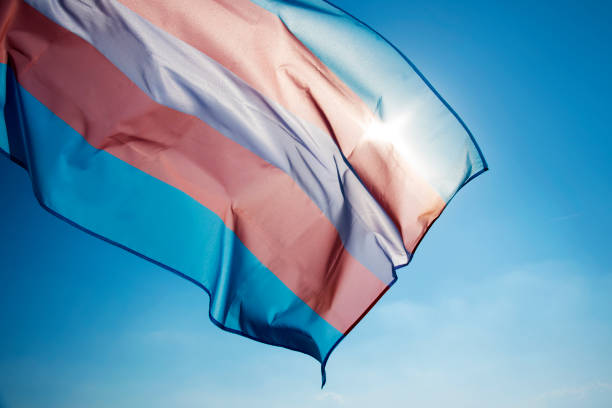 /Foto: Reprodução/iStock