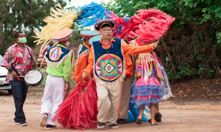 A iniciativa re&uacute;ne apresenta&ccedil;&otilde;es de bloco de carnaval, coco de roda, cavalo-marinho e maracatu./Divulga&ccedil;&atilde;o