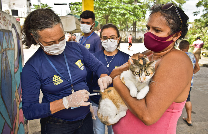 /Neste sábado (23) e domingo (24), tutores de cães e gatos podem levar os bichos para serem imunizados gratuitamente, das 8h às 13h. Foto: Daniel Tavares/Prefeitura do Recife