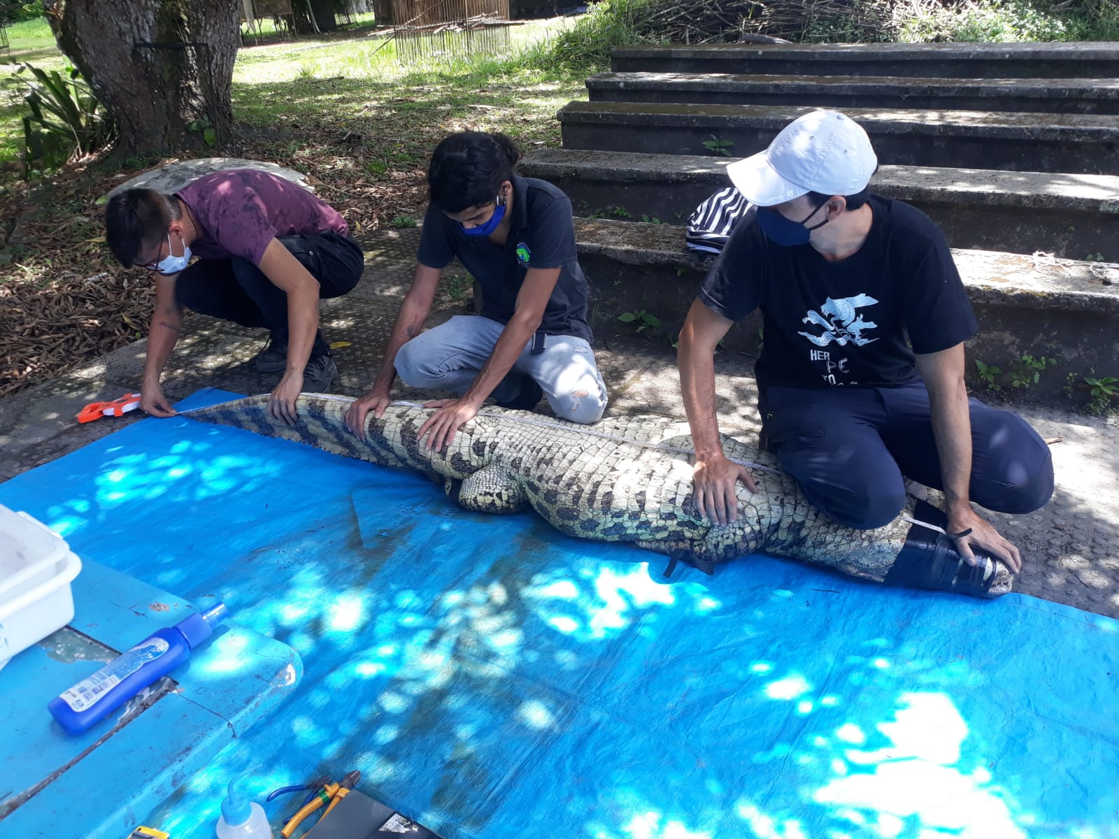 /CPRH/Divulga&ccedil;&atilde;o