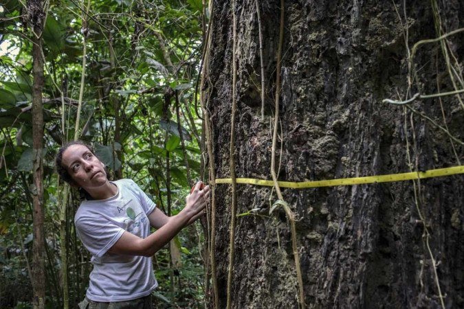 /Foto: Marizilda Cruppe / Rede Amazonia Sustentavel /AFP /Foto: Marizilda Cruppe / Rede Amazonia Sustentavel /AFP