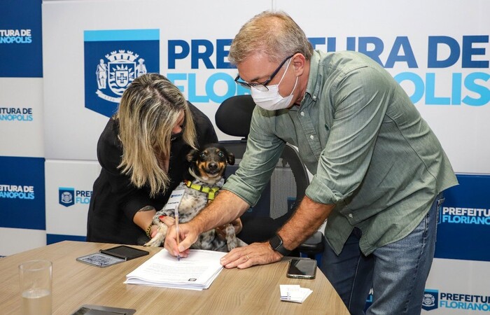 O projeto foi enviado à Câmara de Vereadores de Florianópolis para avaliação nesta quarta-feira (10/11)/Cristiano Andujar/PMF/Divulgação O projeto foi enviado à Câmara de Vereadores de Florianópolis para avaliação nesta quarta-feira (10/11)/Cristiano Andujar/PMF/Divulgação